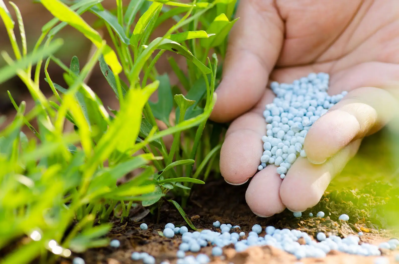 fertilizer pinch valve industries in ahmedabad