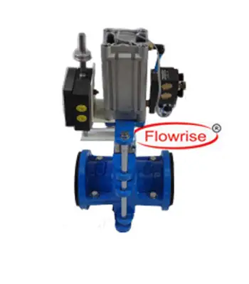 pnematic pinch valve